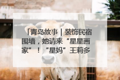 青岛故事｜装饰民宿围墙，她请来“星星画家”！“星妈”王莉多年探索孤独症融合教育，把民宿打造成特殊儿童活动站