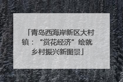 青岛西海岸新区大村镇：“赏花经济”绘就乡村振兴新图景