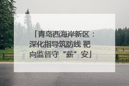 青岛西海岸新区：深化指导筑防线 靶向监督守“薪”安