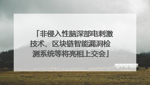 非侵入性脑深部电刺激技术、区块链智能漏洞检测系统等将亮相上交会