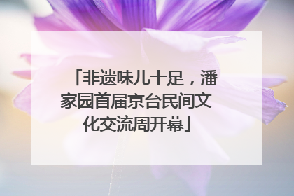 非遗味儿十足，潘家园首届京台民间文化交流周开幕