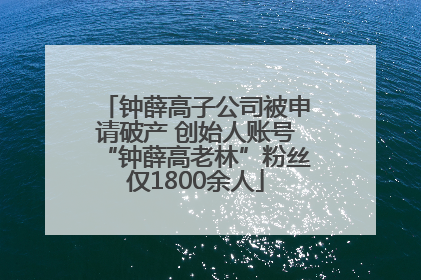 钟薛高子公司被申请破产 创始人账号“钟薛高老林”粉丝仅1800余人