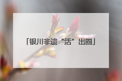 银川非遗“活”出圈