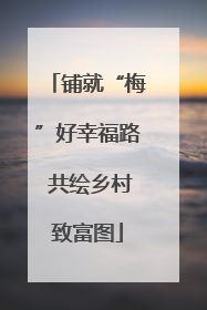 铺就“梅”好幸福路 共绘乡村致富图