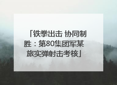 铁拳出击 协同制胜：第80集团军某旅实弹射击考核