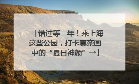 错过等一年！来上海这些公园，打卡莫奈画中的“夏日神颜”→