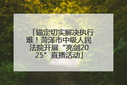 锚定切实解决执行难！菏泽市中级人民法院开展“亮剑2025”直播活动