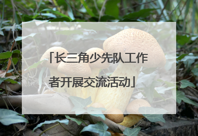 长三角少先队工作者开展交流活动