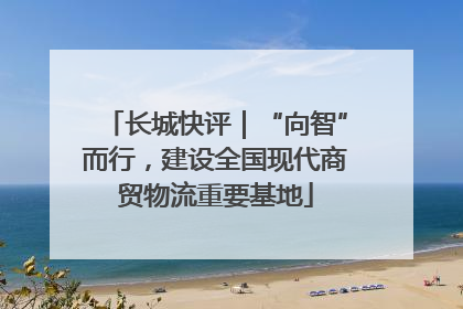 长城快评｜“向智”而行，建设全国现代商贸物流重要基地