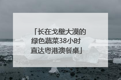 长在戈壁大漠的绿色蔬菜38小时直达粤港澳餐桌