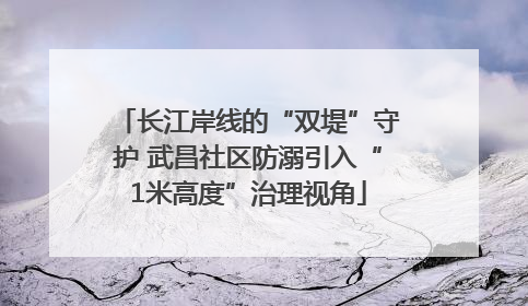 长江岸线的“双堤”守护 武昌社区防溺引入“1米高度”治理视角