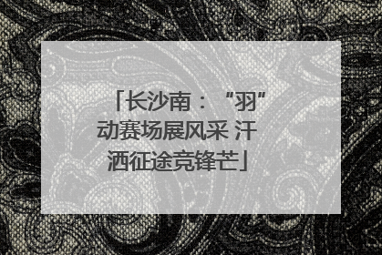 长沙南：“羽”动赛场展风采 汗洒征途竞锋芒