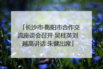 长沙市·衡阳市合作交流座谈会召开 吴桂英刘越高讲话 朱健出席