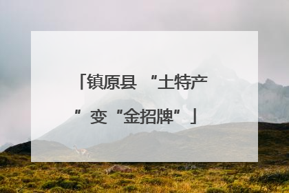 镇原县 “土特产”变“金招牌”