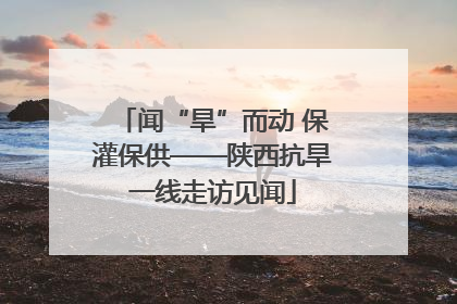 闻“旱”而动 保灌保供——陕西抗旱一线走访见闻