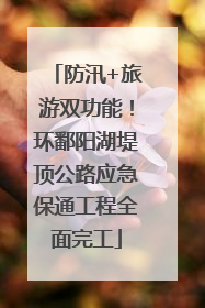 防汛+旅游双功能！环鄱阳湖堤顶公路应急保通工程全面完工
