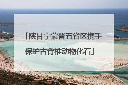 陕甘宁蒙晋五省区携手保护古脊椎动物化石