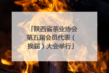 陕西省茶业协会第五届会员代表（换届）大会举行