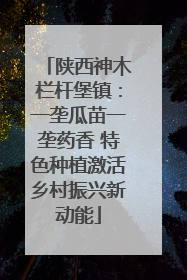 陕西神木栏杆堡镇：一垄瓜苗一垄药香 特色种植激活乡村振兴新动能