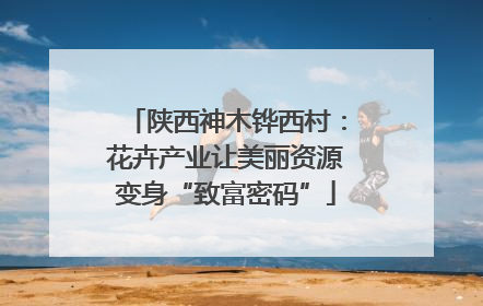 陕西神木铧西村：花卉产业让美丽资源变身“致富密码”