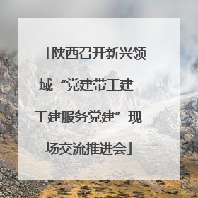 陕西召开新兴领域“党建带工建 工建服务党建”现场交流推进会