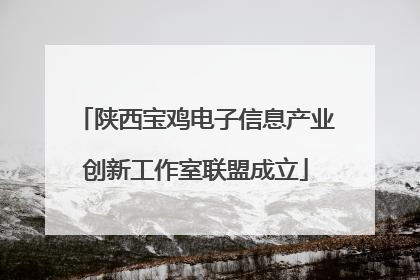 陕西宝鸡电子信息产业创新工作室联盟成立