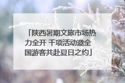 陕西暑期文旅市场热力全开 千项活动邀全国游客共赴夏日之约