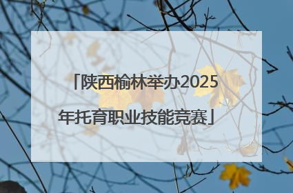 陕西榆林举办2025年托育职业技能竞赛