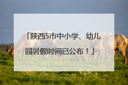 陕西5市中小学、幼儿园暑假时间已公布！