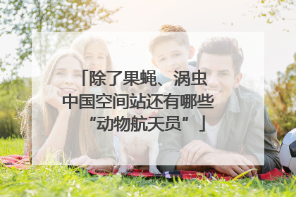 除了果蝇、涡虫 中国空间站还有哪些“动物航天员”