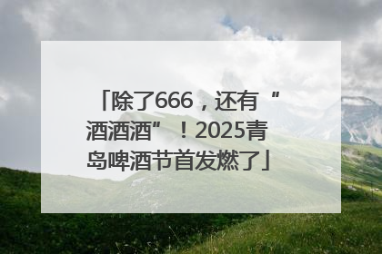 除了666，还有“酒酒酒”！2025青岛啤酒节首发燃了