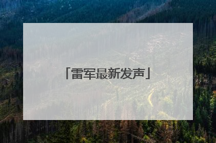雷军最新发声
