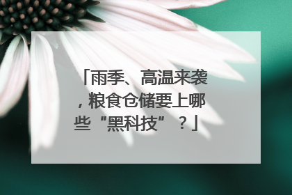 雨季、高温来袭，粮食仓储要上哪些“黑科技”？