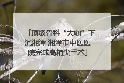 顶级骨科“大咖”下沉湘潭 湘潭市中医医院完成高精尖手术
