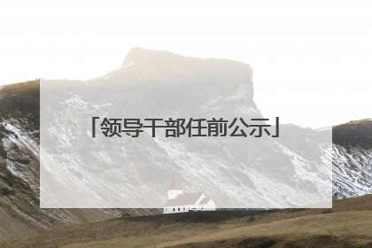 领导干部任前公示