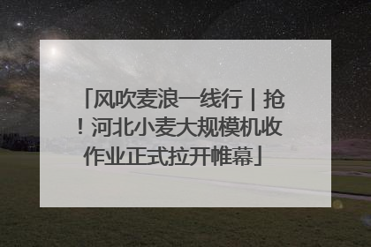 风吹麦浪一线行｜抢！河北小麦大规模机收作业正式拉开帷幕