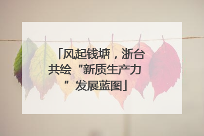 风起钱塘，浙台共绘“新质生产力”发展蓝图