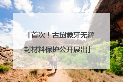 首次！古蜀象牙无灌封材料保护公开展出