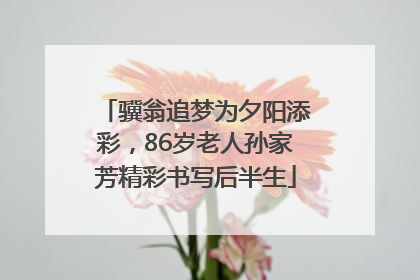骥翁追梦为夕阳添彩，86岁老人孙家芳精彩书写后半生