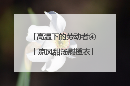 高温下的劳动者④丨凉风甜汤慰橙衣