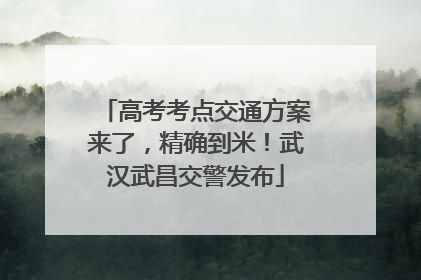 高考考点交通方案来了，精确到米！武汉武昌交警发布