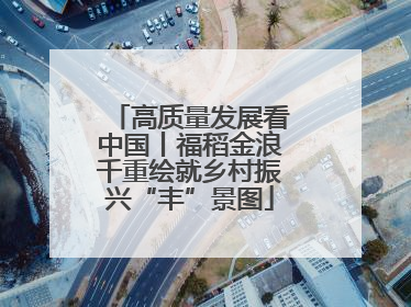 高质量发展看中国丨福稻金浪千重绘就乡村振兴“丰”景图