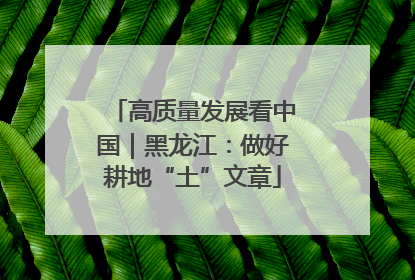 高质量发展看中国｜黑龙江：做好耕地“土”文章