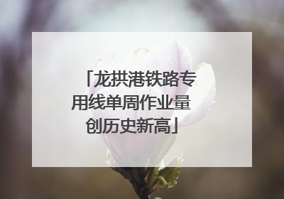 龙拱港铁路专用线单周作业量创历史新高