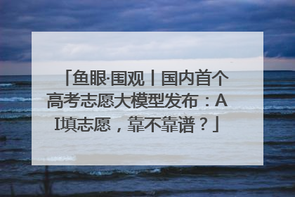 鱼眼·围观丨国内首个高考志愿大模型发布：AI填志愿，靠不靠谱？