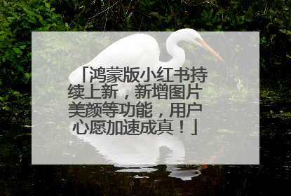 鸿蒙版小红书持续上新，新增图片美颜等功能，用户心愿加速成真！