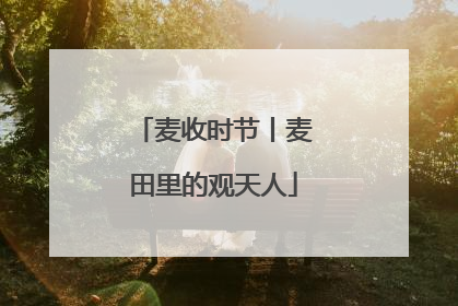 麦收时节丨麦田里的观天人