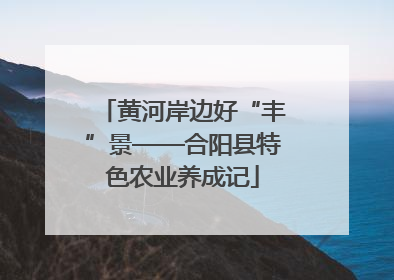 黄河岸边好“丰”景——合阳县特色农业养成记