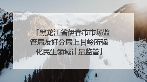黑龙江省伊春市市场监管局友好分局上甘岭所强化民生领域计量监管
