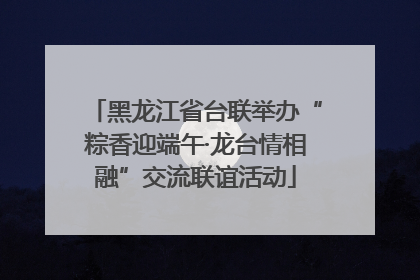黑龙江省台联举办“粽香迎端午·龙台情相融”交流联谊活动